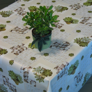 Tessuto Plastificato per Tovaglie Cactus e Pietre