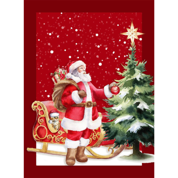 Strofinaccio Natale Babbo